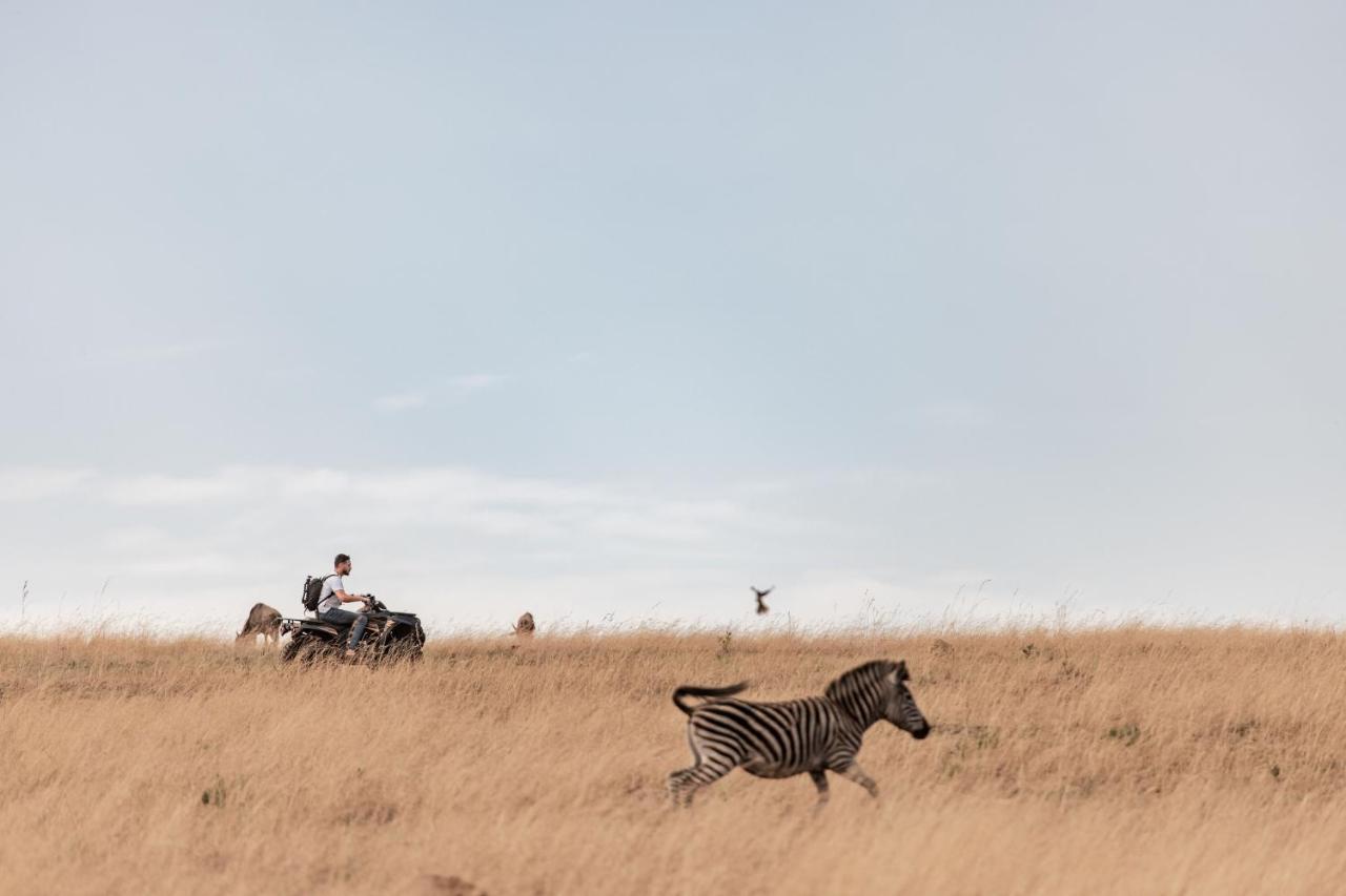 Dawsons Game Lodge Badplaas Bagian luar foto